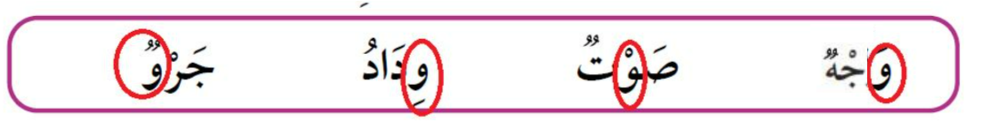 وجه صوت وداد جر